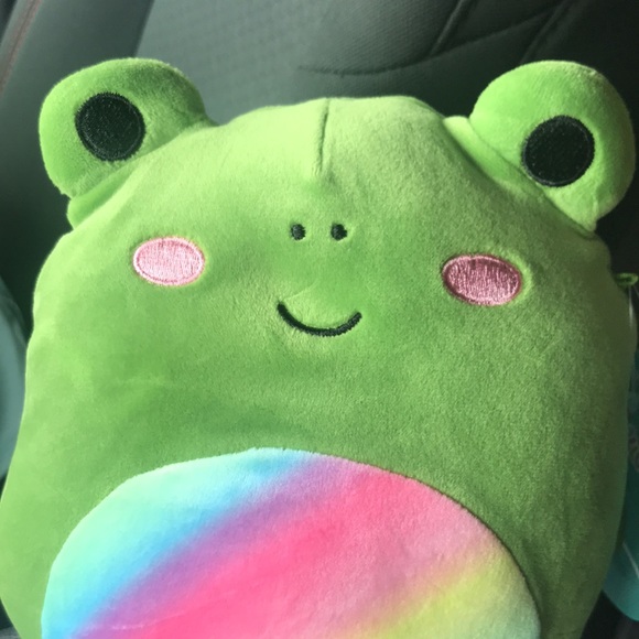 Doxl the rainbow frog squishmallow - Picture 2 of 5